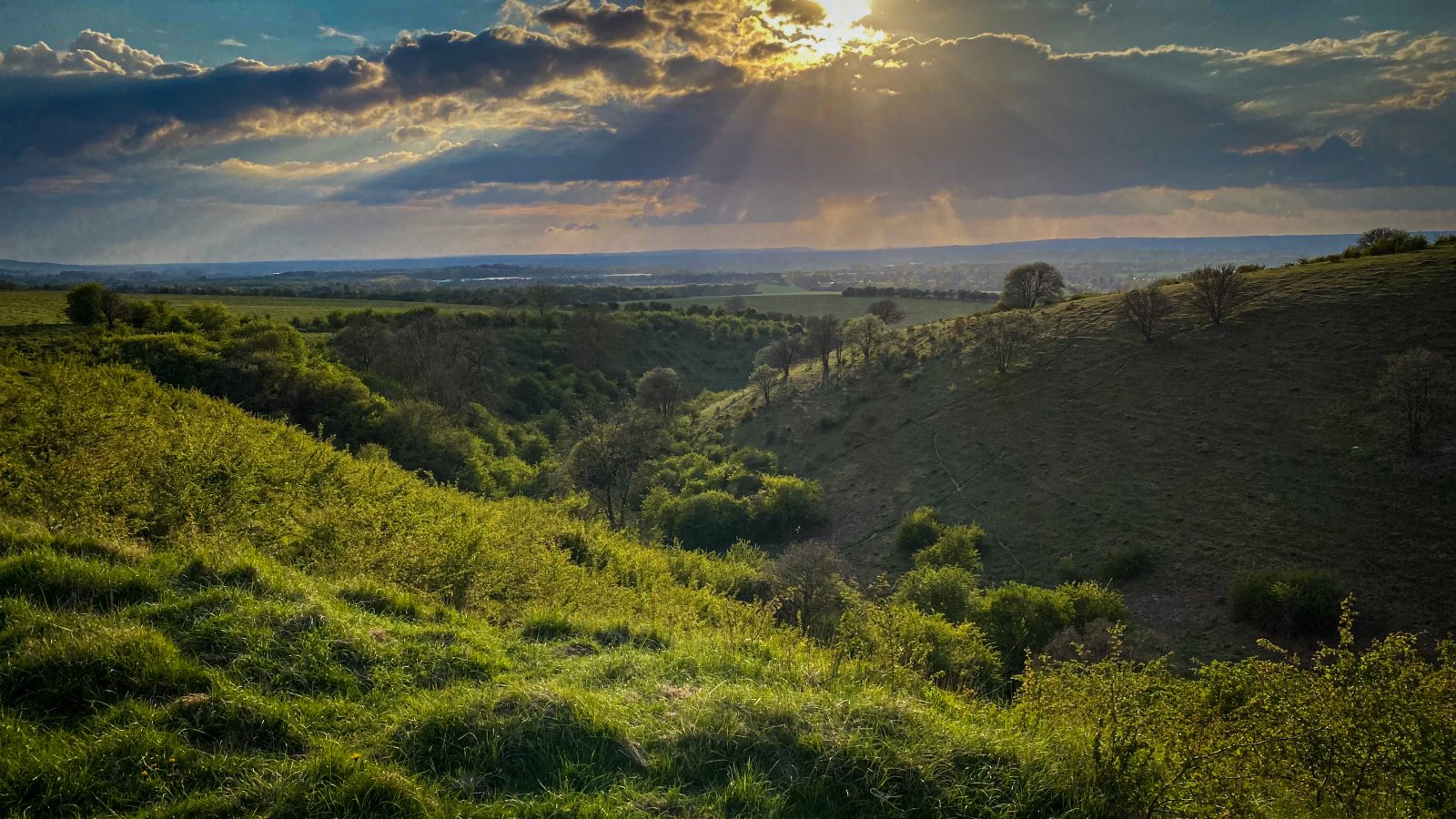 Landscapes