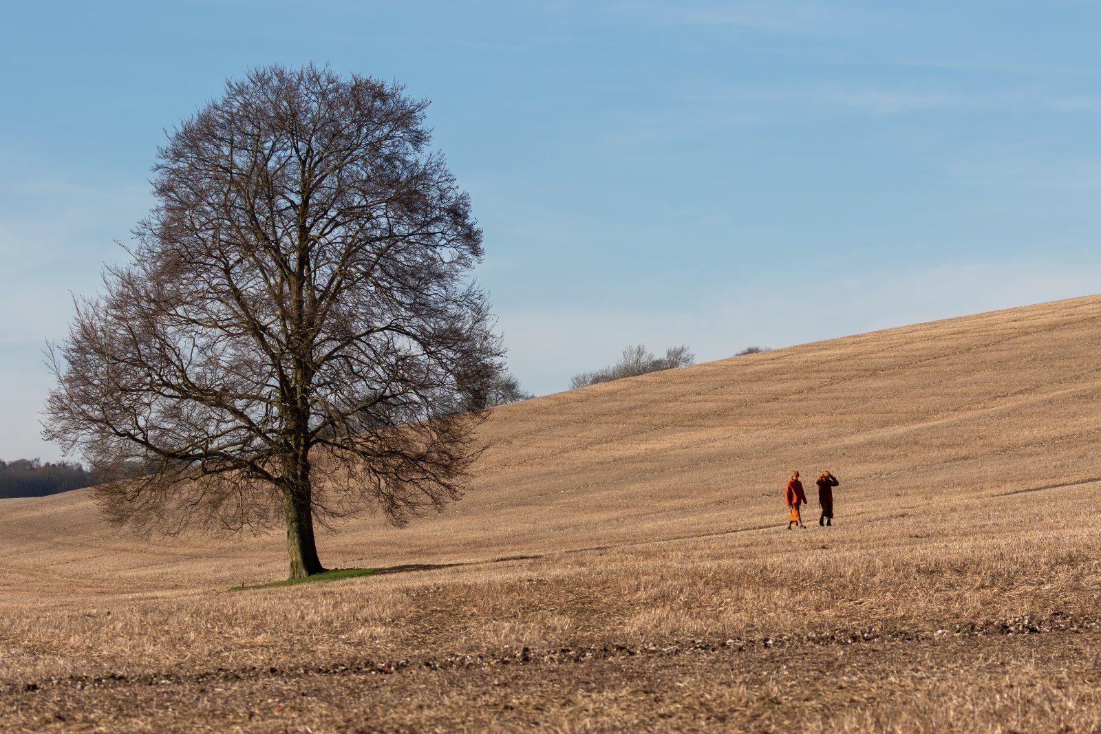 Landscapes