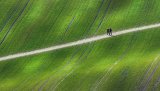 Landscapes