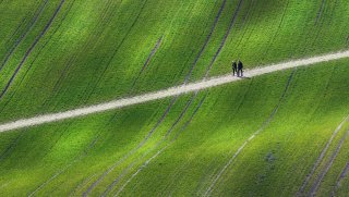 Landscapes